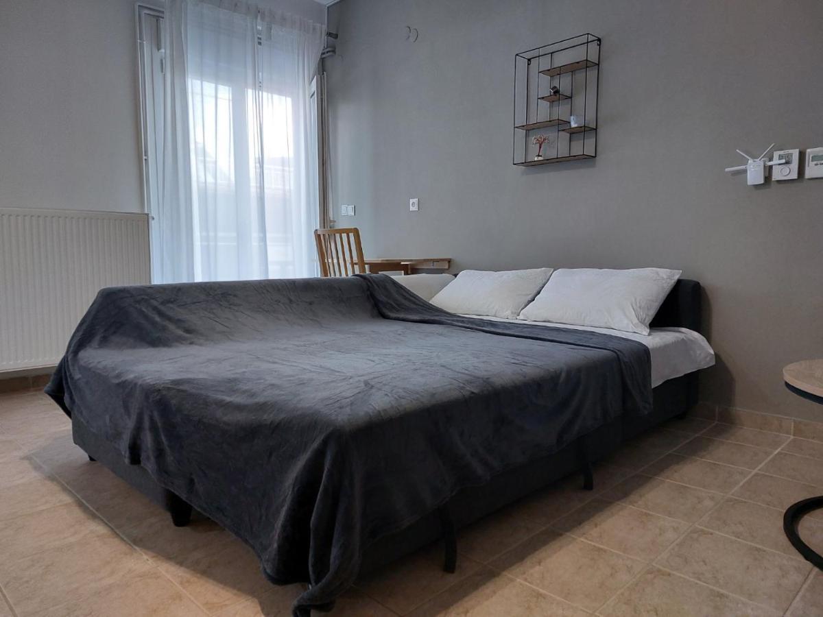 Ρετιρέ Στο Κέντρο Της Κατερίνηςアパートメント エクステリア 写真